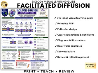 FACILITATED DIFFUSION Biology Visual Learning Guide | Grade 8 & Middle School Science