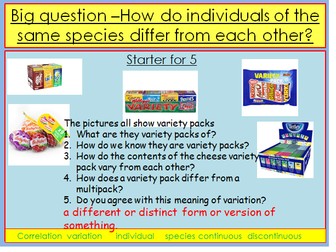 How do individuals of the same species differ from each other?