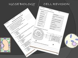 igcse biology cell revision worksheet teaching resources