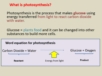 NEW Edexcel 9-1 - Photosynthesis (Low ability but can be adapted)