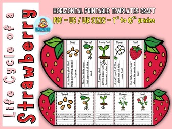 Strawberry Life Cycle Foldable Craft | Plant Life Cycle Science Activity