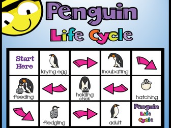 Bee-Bot-Penguin Life Cycle