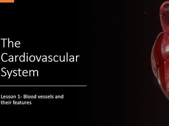 PAS 2 Biology- Cardiovascular System, Respiratory System, Kidneys and Osmoregulation, Cell Transport