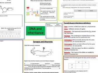 Biology Paper 1 - Combined Booster Session - A3 sheets and PPT - GCSE Edexcel
