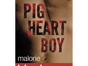 Pig Heart Boy Comprehensions