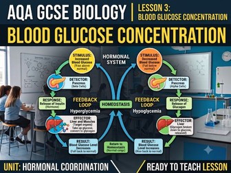 AQA GCSE Biology Hormonal Coordination Lesson 3: Blood Glucose