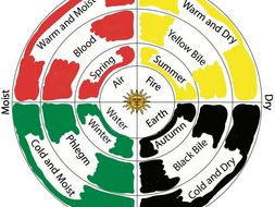 The Theory of the Four Humours