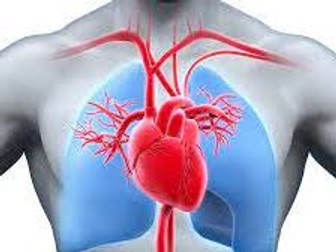 BTEC Level 2 Sport Unit 7 Cardiovascular System Revision Book