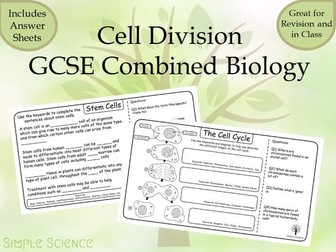 Cell Division and Stem Cells - GCSE Biology Worksheets