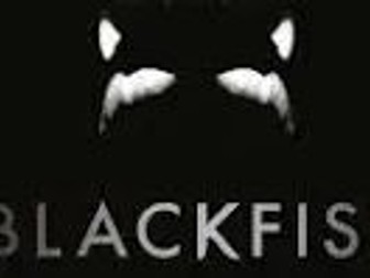 Blackfish Viewing Guide Simple Questions