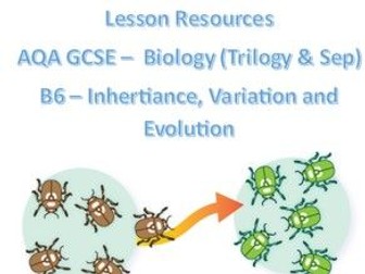 lesson_variation and evolution_AQA GCSE