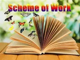 Modern Warfare SOW (Warfare changes in C20th)