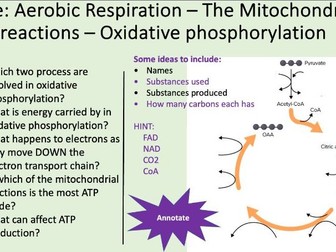 AQA Alevel Respiration - Oxidative phosphorylation