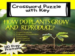 Plant Growth, Reproduction and Life Cycle Crossword Puzzle and Key