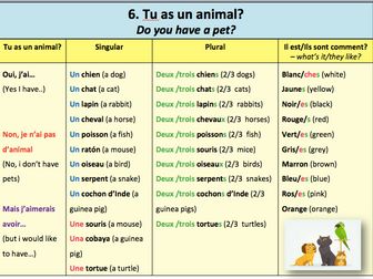 French Personality-Pets-Family Sentence Builders