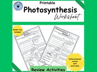 PHOTOSYNTHESIS REVIEW ACTIVITY WORKSHEET