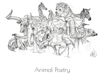 Y7 Animal Poetry Scheme of Work