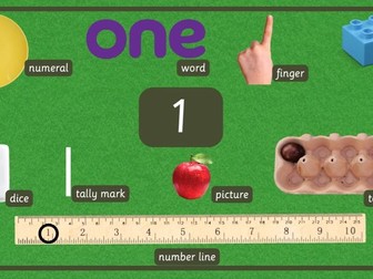 Number Representation Posters- Real/Natural Objects-Number 1