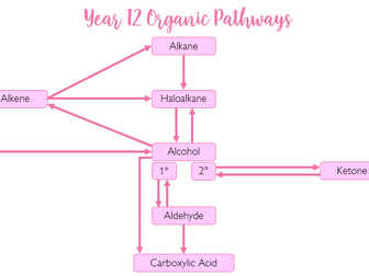 A Level OCR Year 1 Organic pathway map