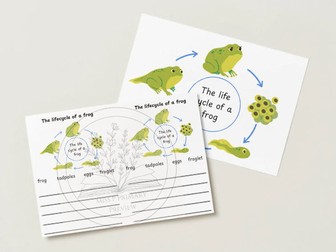 Life cycle of a Frog Activity Pack