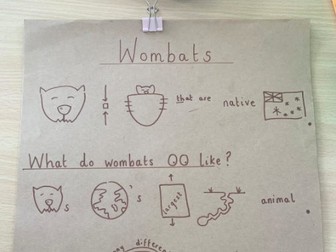 Talk for Writing - 'WOMBAT' - Information Report Y1-2