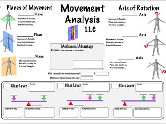 Movement Analysis GCSE PE (OCR 1.1.c) Revision Sheet