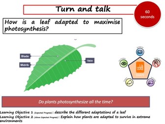 Plant adaptations