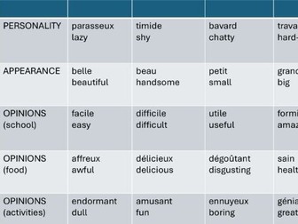 GCSE French Foundation Adjectives sheet