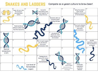Yeast fermentation snakes and ladders