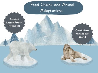 Food Chains and Animal Adaptations (Year 2 Science Unit)