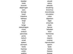 Organs of the human body