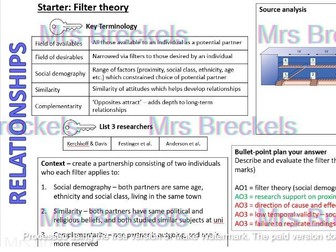 Relationships (AQA A-level Psychology) - Recap starter/do now worksheets with answers