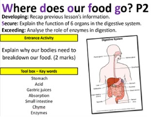 Topic 8A - Where Does our Food Go part 2?