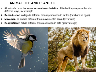 KS3- The characteristics of living things & activities