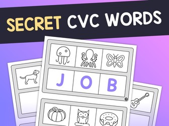 CVC Words Worksheets | Phonics & Letter Sounds Activity, CVC Words Morning Work