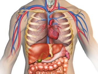 AAQ Unit 2 Human Biology & Health - Health & Social Care