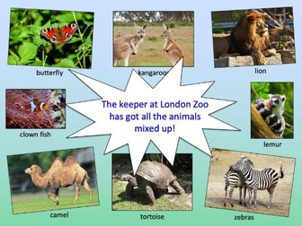 Matching animals to their habitat - KS1/KS2