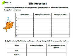 Year 7 Biology Life Processes homework sheet and answer ...