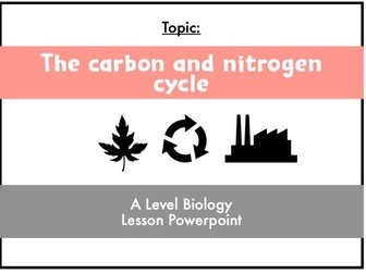 The carbon and nitrogen cycle- A Level Biology