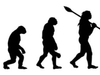 Year 6 Evolution Planning (Topic front cover,worksheets and slides) **Slides are on SMART NOTEBOOK**