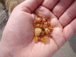 Amber: Beach Treasure