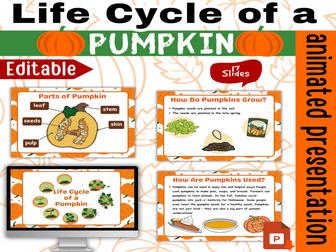 Life Cycle of a Pumpkin Plant Fall Autumn Life Science PowerPoint Presentation Animated editable