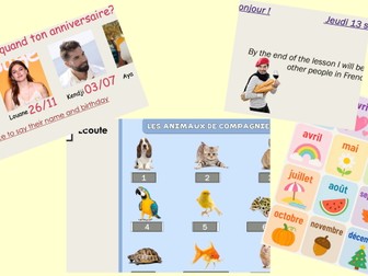 Year 7 French Beginners Bundle | 4 KS3 Lesson Packs | Greetings, Numbers, Birthdays & Pets