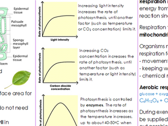 Bioenergetics - Critical Content Sheet (AQA GCSE Biology - Triple)