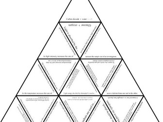 B2 revision-  tarsia puzzle -  Photosynthesis / organisms and their environment