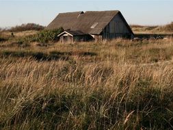 Buildings: Latvia: Where We Live: Photo Collection