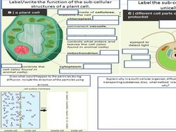 ks3 science revision worksheets teaching resources