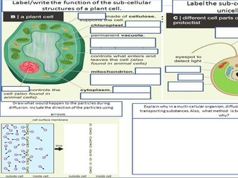 KS3 science revision worksheets