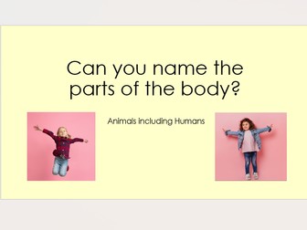 Year 1 Science Name and Label Body Parts