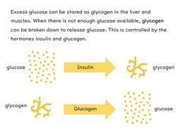 Blood Glucose and Diabetes Slides and Worksheet (GCSE Biology AQA ...